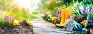 Lees meer over het artikel 5 tuin tips voor de laatste week van mei.